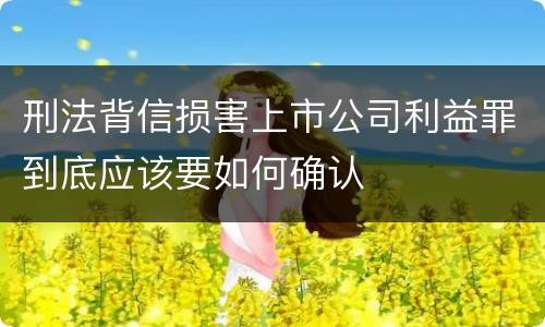 刑法背信损害上市公司利益罪到底应该要如何确认