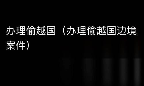 办理偷越国（办理偷越国边境案件）