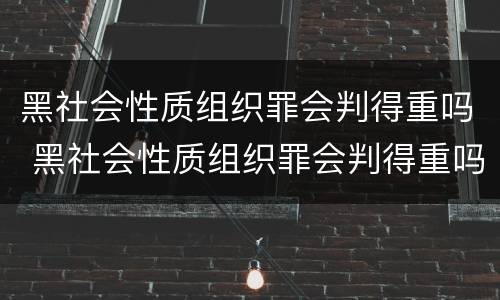 黑社会性质组织罪会判得重吗 黑社会性质组织罪会判得重吗知乎