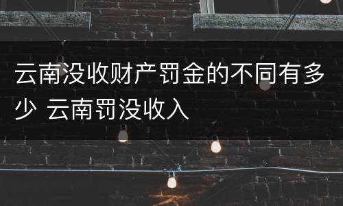云南没收财产罚金的不同有多少 云南罚没收入