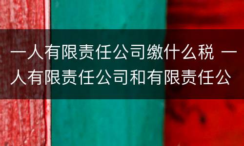 一人有限责任公司缴什么税 一人有限责任公司和有限责任公司纳税