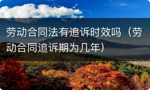 劳动合同法有追诉时效吗（劳动合同追诉期为几年）