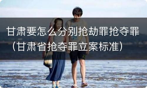 甘肃要怎么分别抢劫罪抢夺罪（甘肃省抢夺罪立案标准）