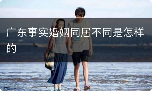广东事实婚姻同居不同是怎样的