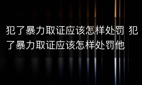 犯了暴力取证应该怎样处罚 犯了暴力取证应该怎样处罚他
