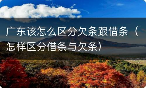 广东该怎么区分欠条跟借条（怎样区分借条与欠条）