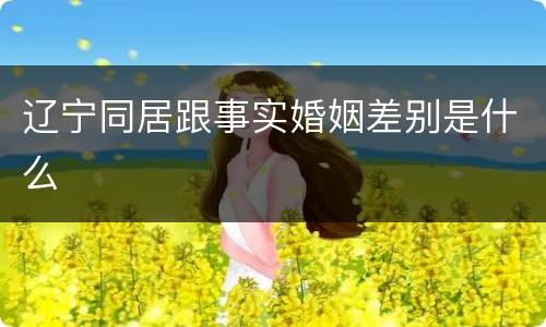 辽宁同居跟事实婚姻差别是什么