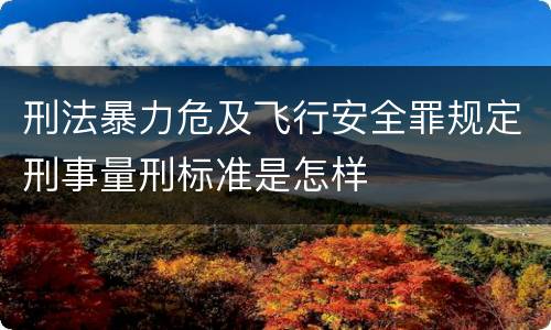刑法暴力危及飞行安全罪规定刑事量刑标准是怎样
