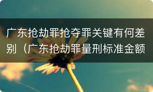 广东抢劫罪抢夺罪关键有何差别（广东抢劫罪量刑标准金额）