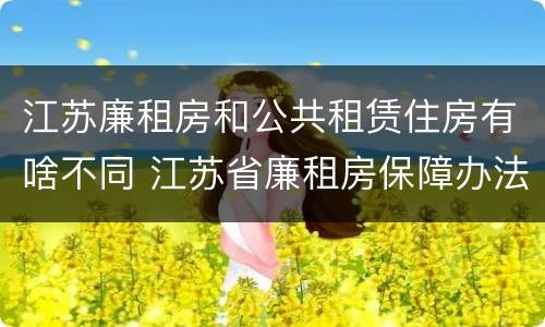 江苏廉租房和公共租赁住房有啥不同 江苏省廉租房保障办法