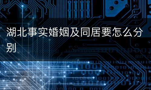 湖北事实婚姻及同居要怎么分别