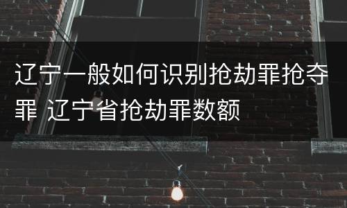 辽宁一般如何识别抢劫罪抢夺罪 辽宁省抢劫罪数额
