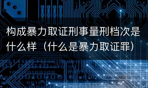 构成暴力取证刑事量刑档次是什么样（什么是暴力取证罪）