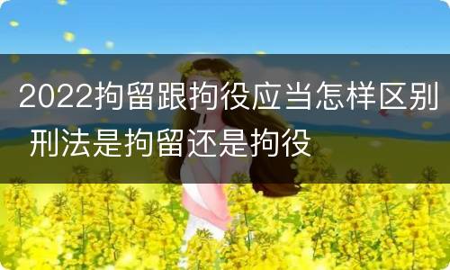 2022拘留跟拘役应当怎样区别 刑法是拘留还是拘役