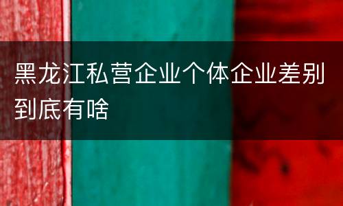 黑龙江私营企业个体企业差别到底有啥