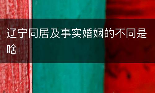 辽宁同居及事实婚姻的不同是啥