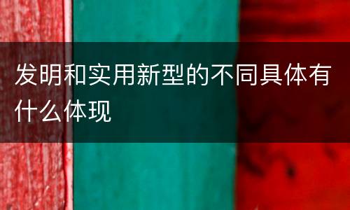 发明和实用新型的不同具体有什么体现