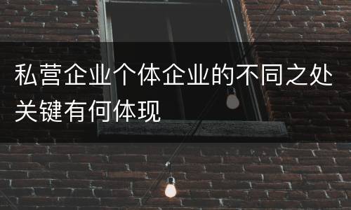 私营企业个体企业的不同之处关键有何体现