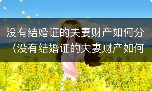 没有结婚证的夫妻财产如何分（没有结婚证的夫妻财产如何分配）