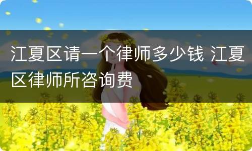 江夏区请一个律师多少钱 江夏区律师所咨询费