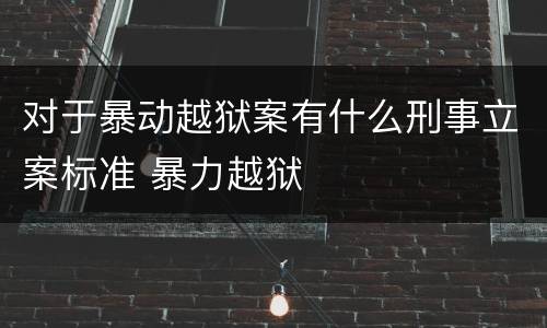 对于暴动越狱案有什么刑事立案标准 暴力越狱