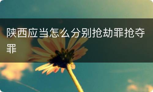 陕西应当怎么分别抢劫罪抢夺罪