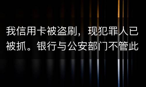 我信用卡被盗刷，现犯罪人已被抓。银行与公安部门不管此事。我如何能取回款项呢项呢
