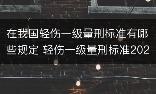 在我国轻伤一级量刑标准有哪些规定 轻伤一级量刑标准2020