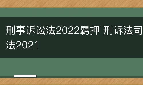 刑事诉讼法2022羁押 刑诉法司法2021
