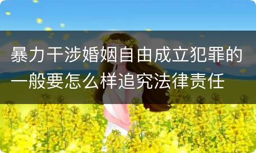 暴力干涉婚姻自由成立犯罪的一般要怎么样追究法律责任