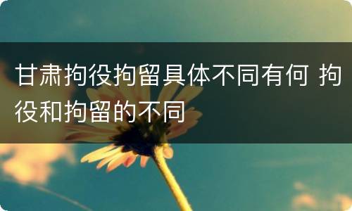 甘肃拘役拘留具体不同有何 拘役和拘留的不同