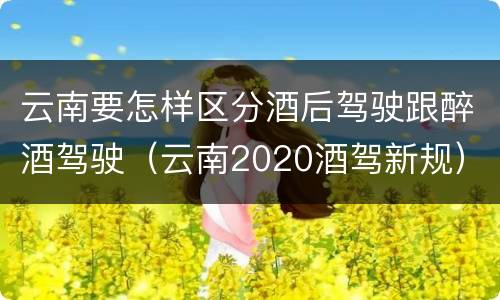 云南要怎样区分酒后驾驶跟醉酒驾驶（云南2020酒驾新规）