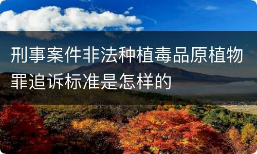 刑事案件非法种植毒品原植物罪追诉标准是怎样的