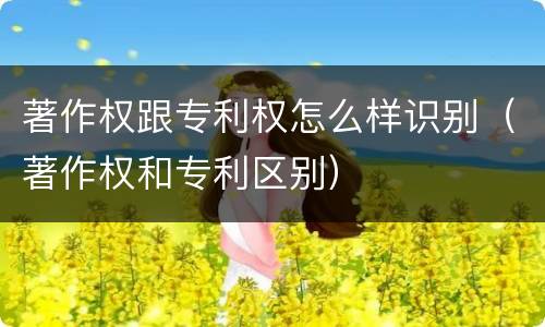 著作权跟专利权怎么样识别（著作权和专利区别）