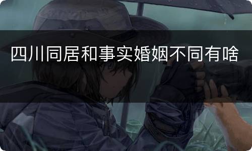 四川同居和事实婚姻不同有啥