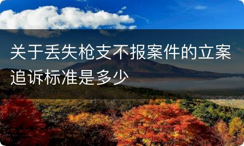 关于丢失枪支不报案件的立案追诉标准是多少