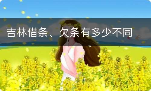 吉林借条、欠条有多少不同