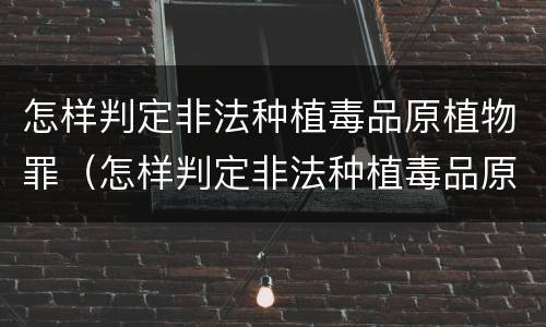 怎样判定非法种植毒品原植物罪（怎样判定非法种植毒品原植物罪立案标准）