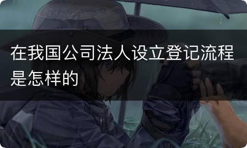 在我国公司法人设立登记流程是怎样的