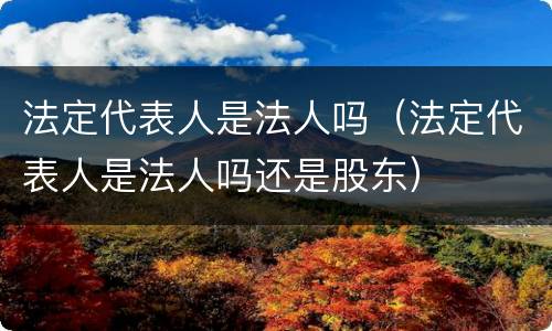 法定代表人是法人吗（法定代表人是法人吗还是股东）