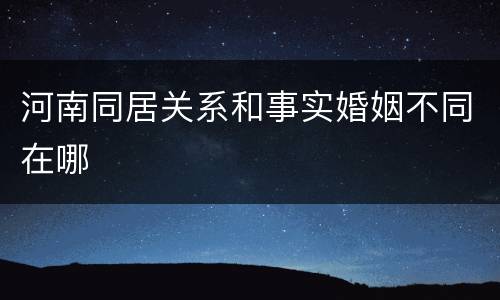 河南同居关系和事实婚姻不同在哪
