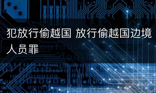 犯放行偷越国 放行偷越国边境人员罪