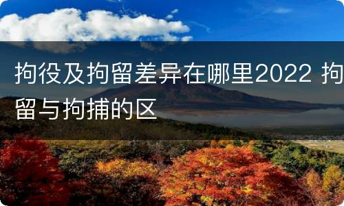 拘役及拘留差异在哪里2022 拘留与拘捕的区