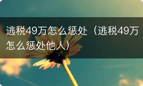 逃税49万怎么惩处（逃税49万怎么惩处他人）