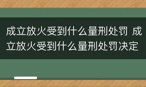 成立放火受到什么量刑处罚 成立放火受到什么量刑处罚决定