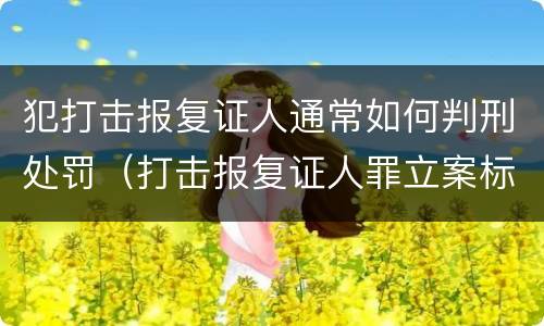 犯打击报复证人通常如何判刑处罚（打击报复证人罪立案标准）