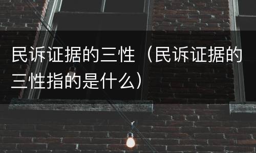 民诉证据的三性（民诉证据的三性指的是什么）
