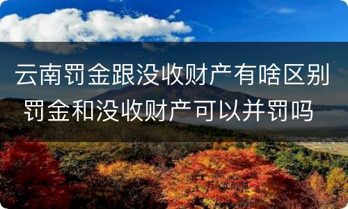 云南罚金跟没收财产有啥区别 罚金和没收财产可以并罚吗