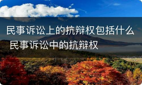 民事诉讼上的抗辩权包括什么 民事诉讼中的抗辩权