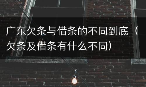 广东欠条与借条的不同到底（欠条及借条有什么不同）